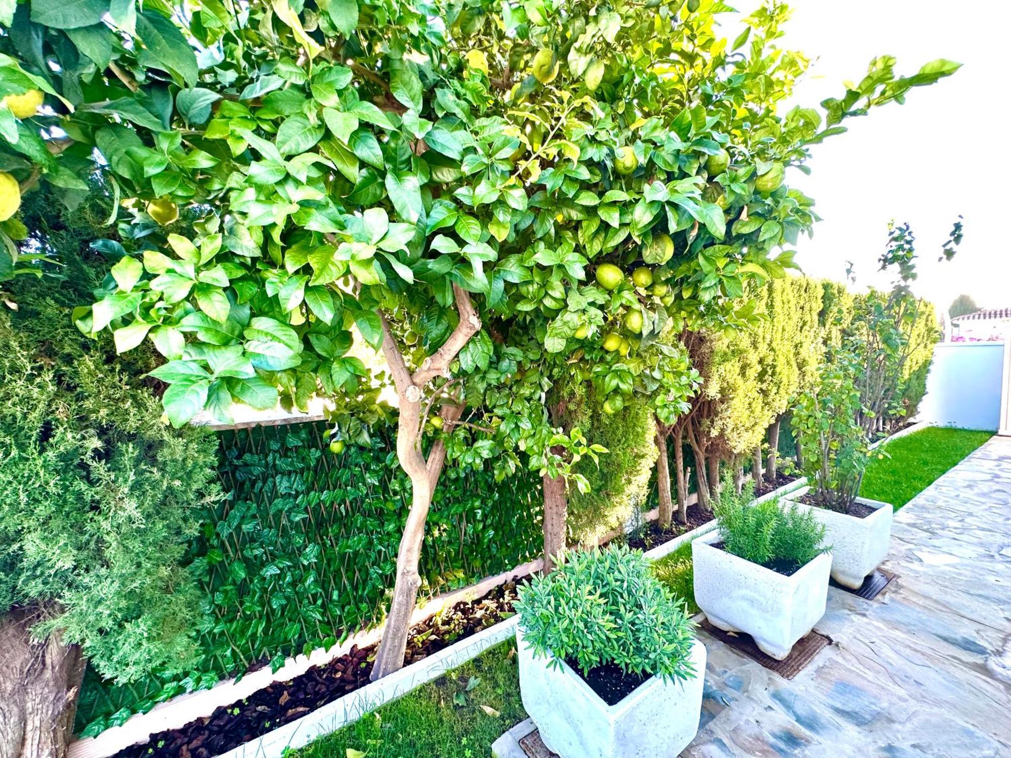 Villa Casacara Marbella Beachside Costabella -Spain Eksteriør bilde